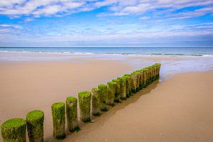 Warten auf das Meer