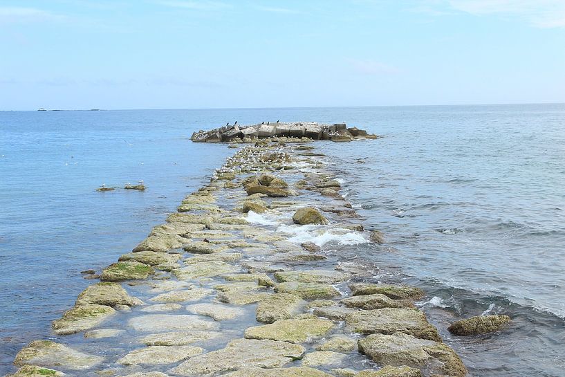 View over a pier in the sea by Photo Pim