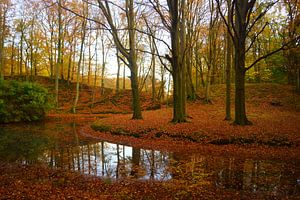 Landgoed Elswout sur Michel van Kooten