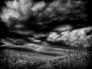 Calm before the storm B&W by Lex Schulte