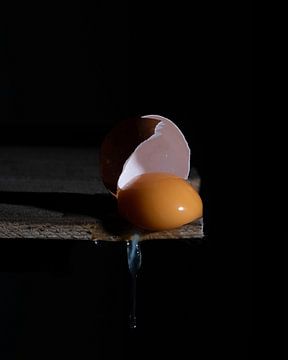 Broken egg by Anita Visschers