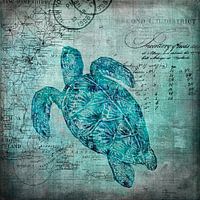 Turtle Underwater World