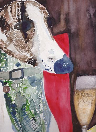 Whippet ordered champagne