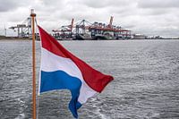 The Port of Rotterdam