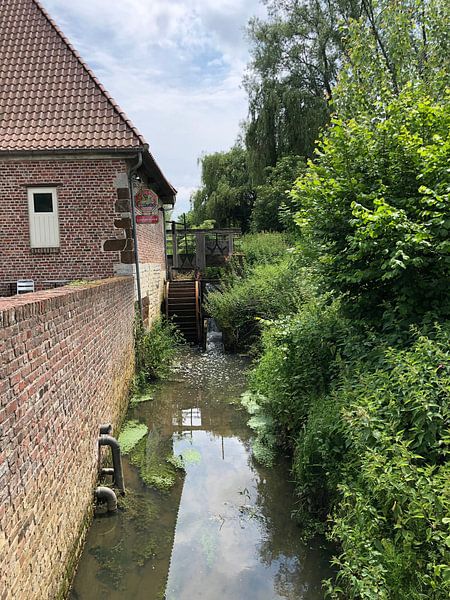 Gemmemolen von tania mol