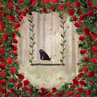 Camelia Garden