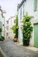 Steegje in Ile de Ré