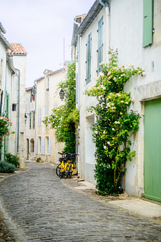 Gasse auf der Ile de Ré