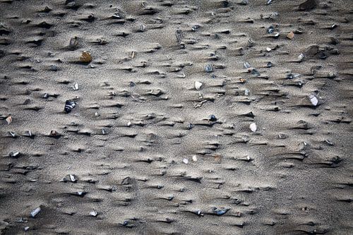 am Strand gestrandet
