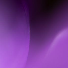 Brume violette sur Jeroen Segers