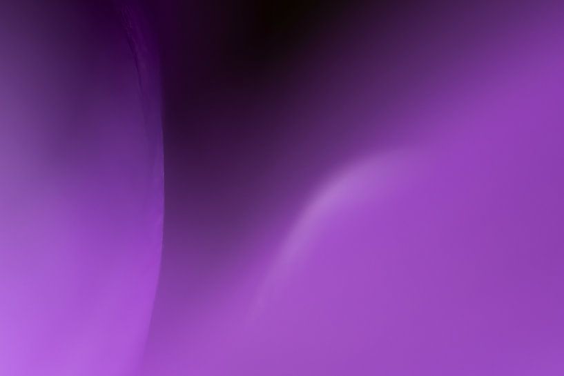 Violetter Nebel von Jeroen Segers