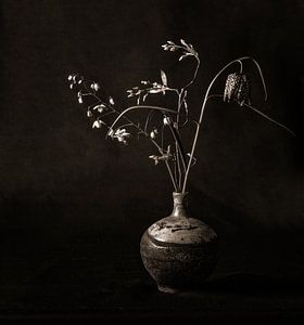 drei Blumen in Duotone