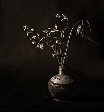 drie bloemen in duotone van Hanneke Luit
