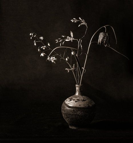 drei Blumen in Duotone von Hanneke Luit