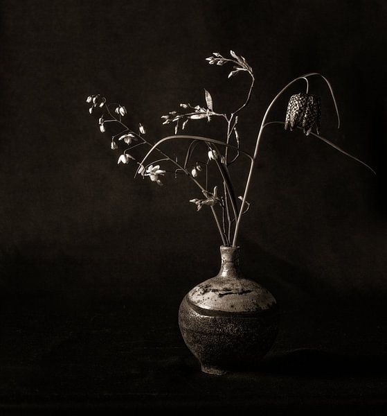 trois fleurs en duotone par Hanneke Luit