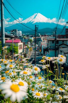 Uitzicht op Fuji met madeliefjes van Poster Art Shop
