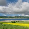 View over Lake Neuensien on the island of Rügen by Peter Eckert