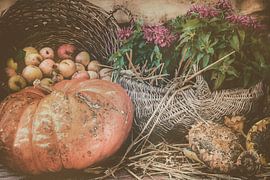 Pumpkin, sunflowers and filled baskets by Martin Bergsma