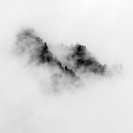 Wald im Nebel 2 von Zbinden Konnex