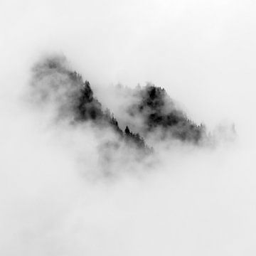 Wald im Nebel 2 von Michael Zbinden Foto