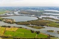Luchtfoto van de waterbekkens in een Nederlands natuurgebied Biesbosch van Ruud Morijn thumbnail