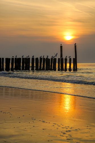 Domburg, Walcheren Zeeland