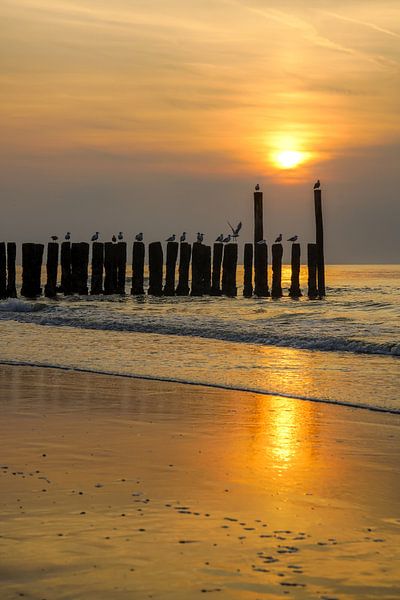 Domburg, Walcheren Zeeland von Dirk van Egmond