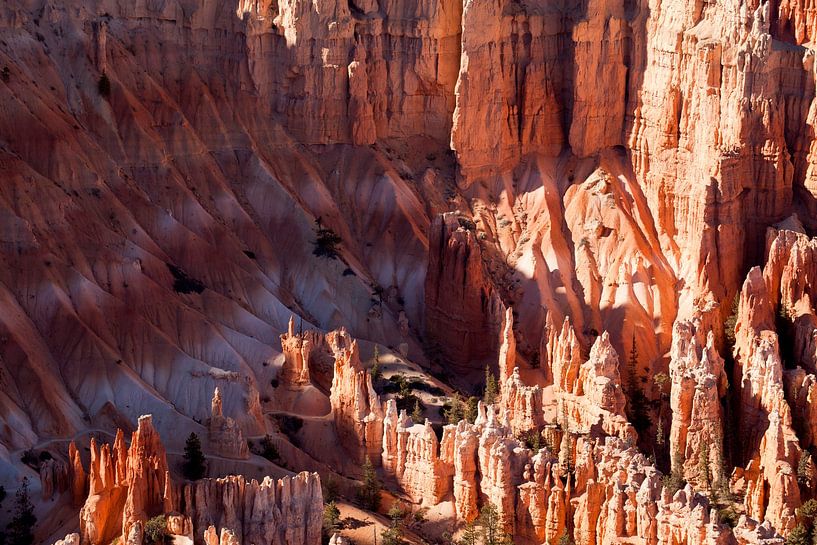 Bryce Canyon Nationalpark, Utah von Peter Schickert