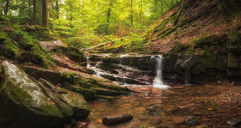 Torrent in the Rhön by Tobias Luxberg