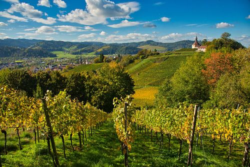 Landscape near Gengenbach in the Black Forest