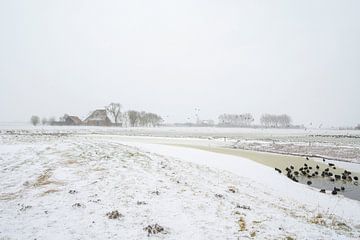 Boerderij in sneeuwlandschap