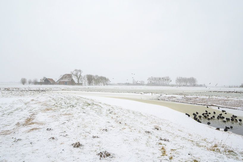 Ferme dans un paysage enneigé par Barbara Brolsma