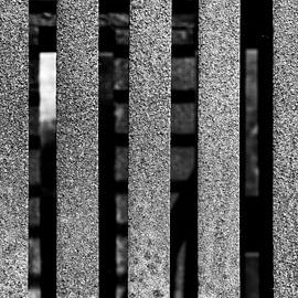 F411 von Laura van Gaans