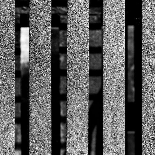 F411 von Laura van Gaans