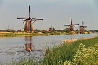 Kinderdijk Mühlen von Dennis van de Water Miniaturansicht