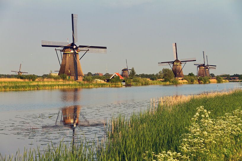 Moulins de Kinderdijk par Dennis van de Water