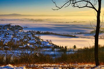 Winterzon van Tim Lee Williams