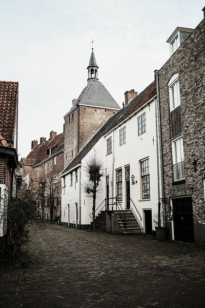 Dieventoren in Amersfoort Muurhuizen by Amersfoort Fotoprint