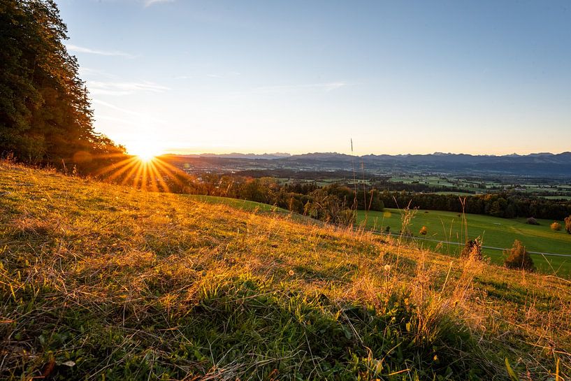 Blick in die Allgäuer Alpen und den Grünten von Leo Schindzielorz