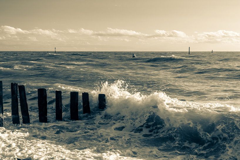 The sea by MSP Canvas