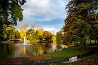 Park im Herbst mit Springbrunnen von Lars Mol Miniaturansicht