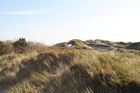 Hollandse vlag