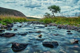 Een arctisch zomerlandschap by Remco de Vries