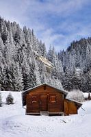 Lonely cottage in the wilderness