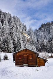 Einsame Hütte in der Wildnis von Laura Krol
