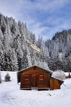 Lonely cottage in the wilderness by Laura Krol