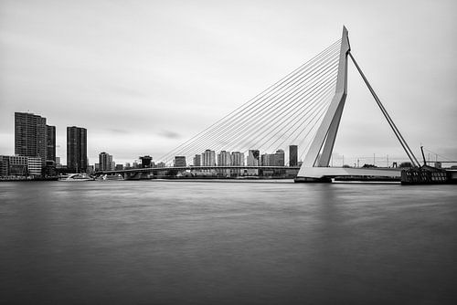 Schwarz-Weiß-Foto der Erasmus-Brücke von Mark De Rooij