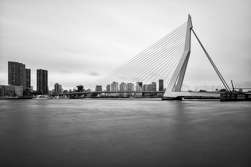 Schwarz-Weiß-Foto der Erasmus-Brücke von Mark De Rooij