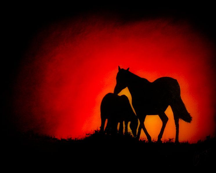 Red/Black by Christoph Van Daele