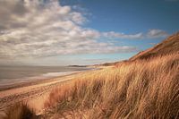 Dune and Beach